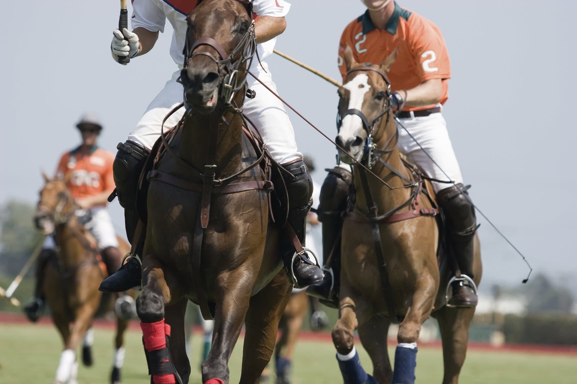 Polospieler im Angriff